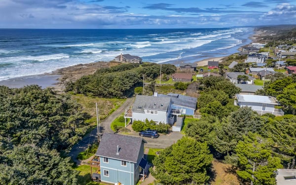 Aerial View with ocean