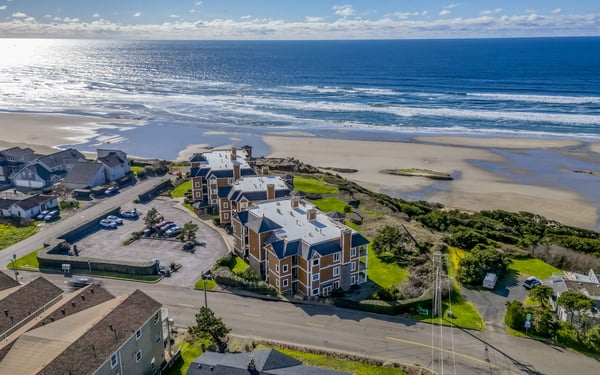 Aerial View Wandering Whale