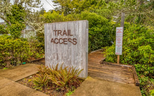 Amazing wetlands trail right across the street