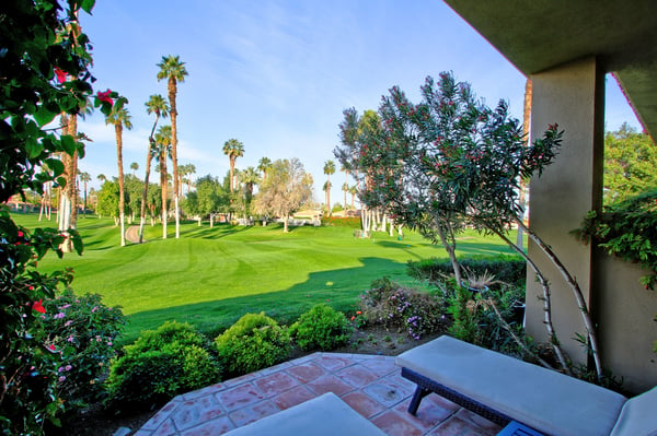 Patio View