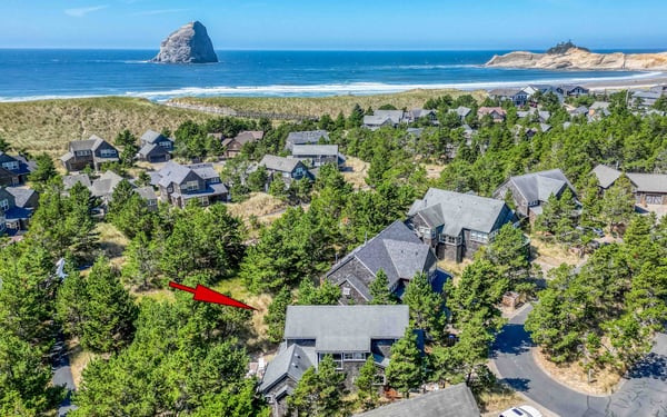 Haystack Rock Coastline Birds Eye View