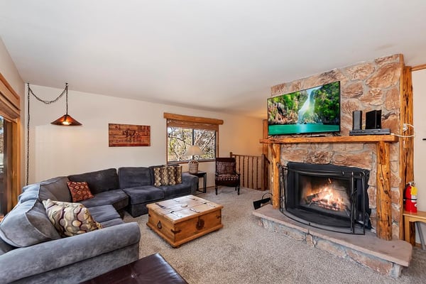 Living Room with Wood Burning Fireplace