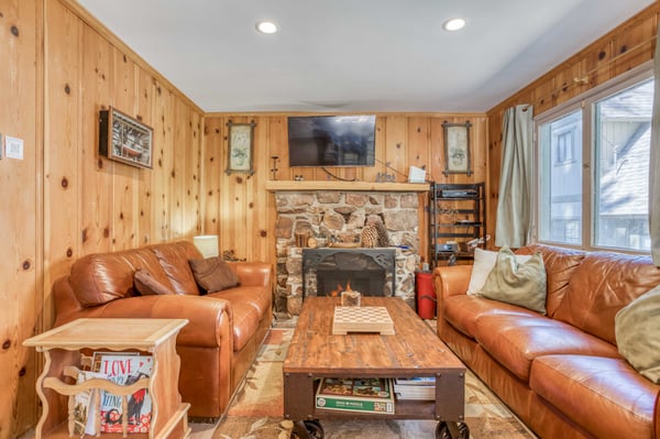 Living Room and Fireplace