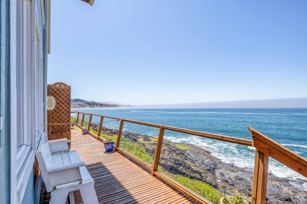 Whale Watching Bench