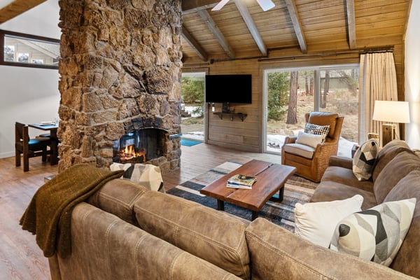 Living Area and Fireplace