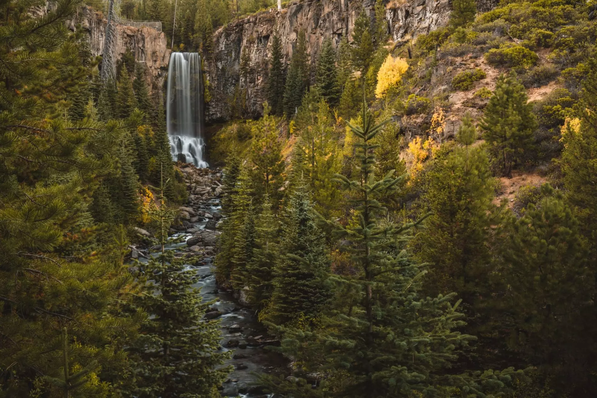 Cliff Jumping at Paradise Falls — Valhalla Hikes