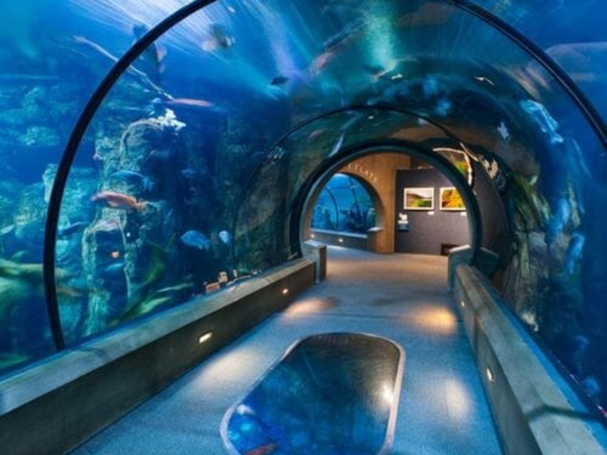 Vaada Desings Transparent Fish Aquarium And Accessories, Packaging